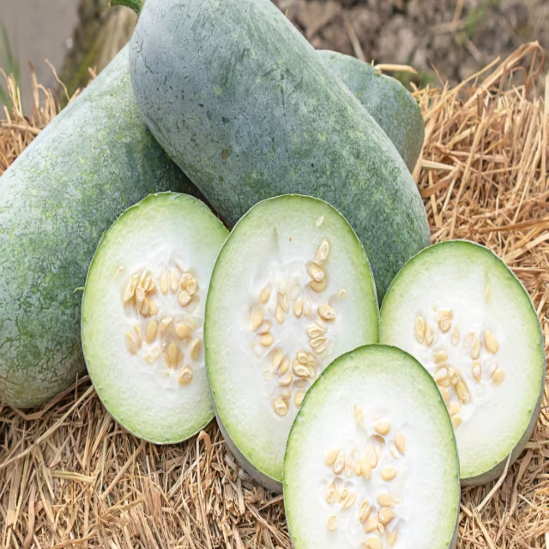 Organic Ash Gourd (Kohala)