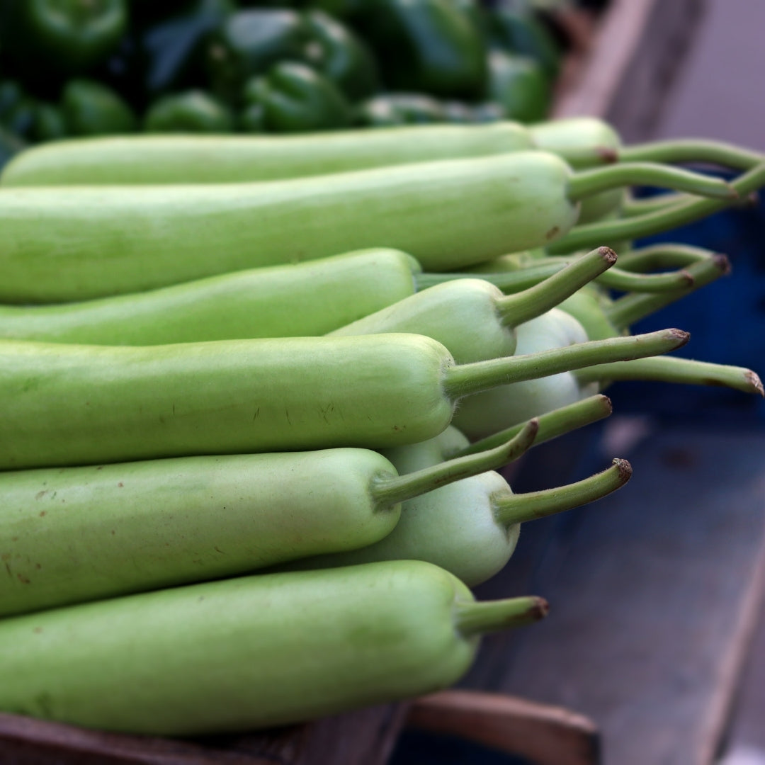 Organic Bottle Gourd (Dudhi)
