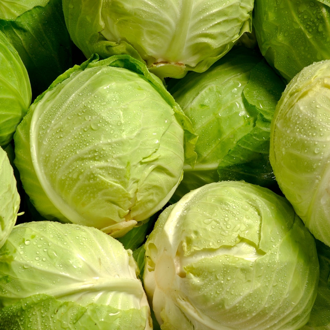 Organic Cabbage (Kobi)