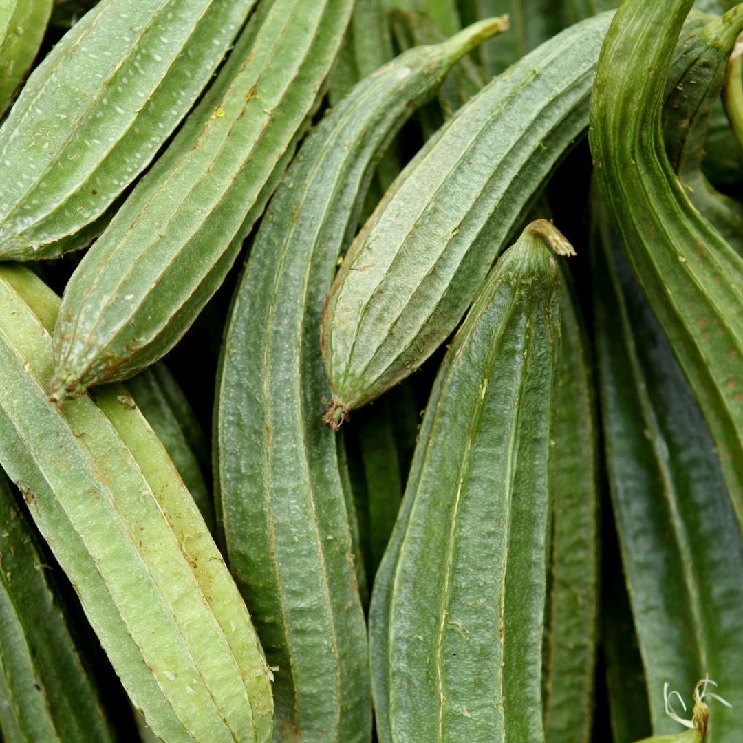 Organic Dodka (Ridge Gourd)