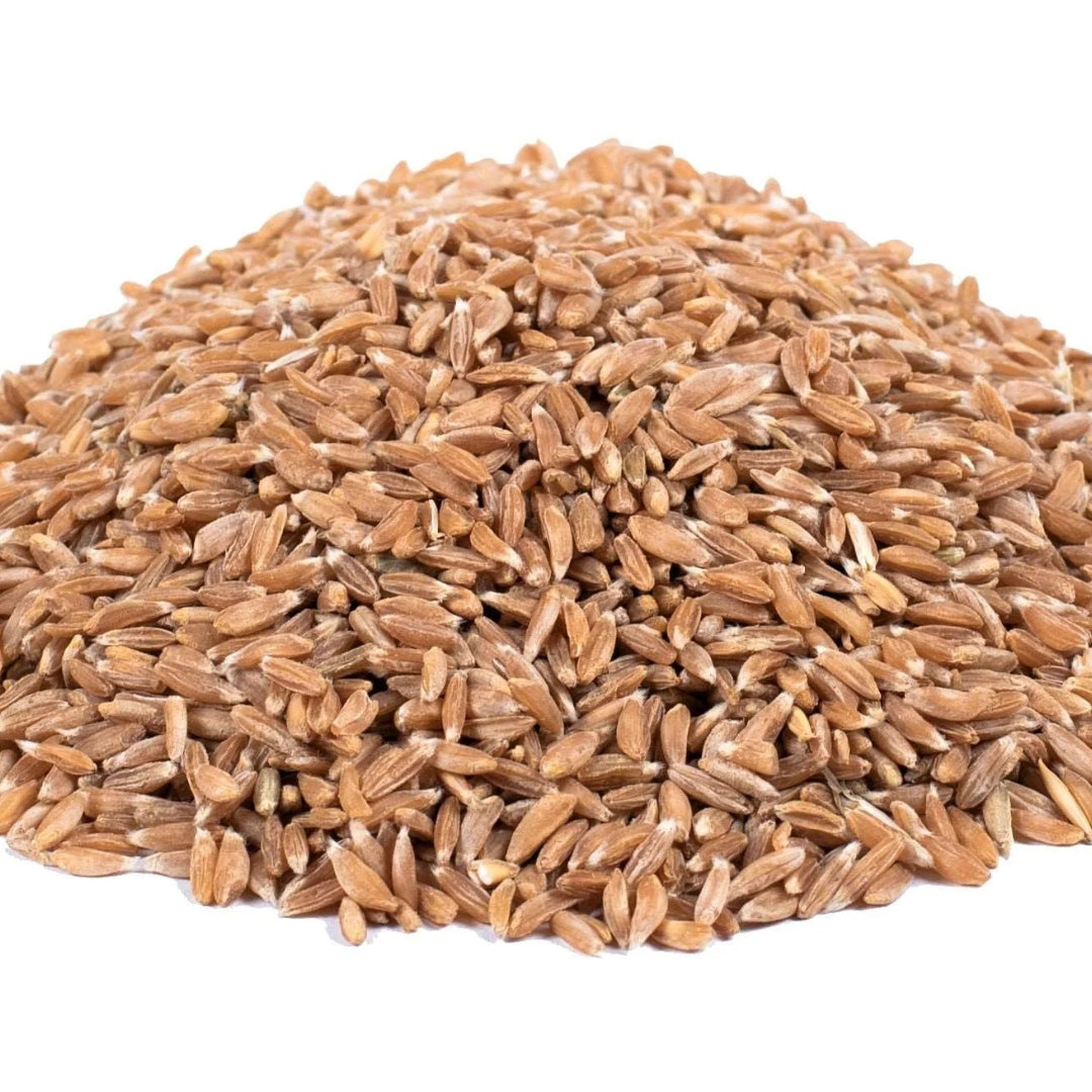 Organic Khapali Ghau (Emmer Wheat)