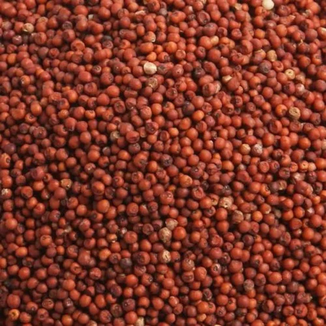 Organic Nachni (Finger Millet/Ragi)