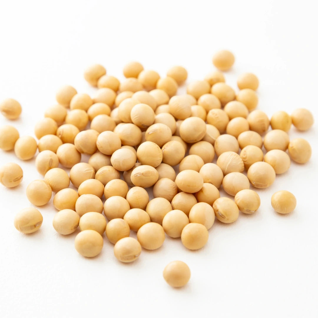 Organic Soyabean