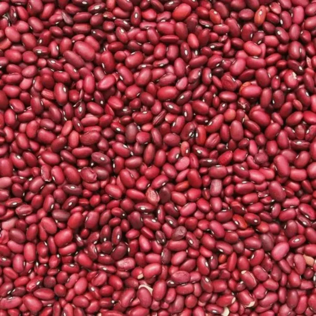 Organic Rajma - Small Variety (Small Red Kidney Beans)