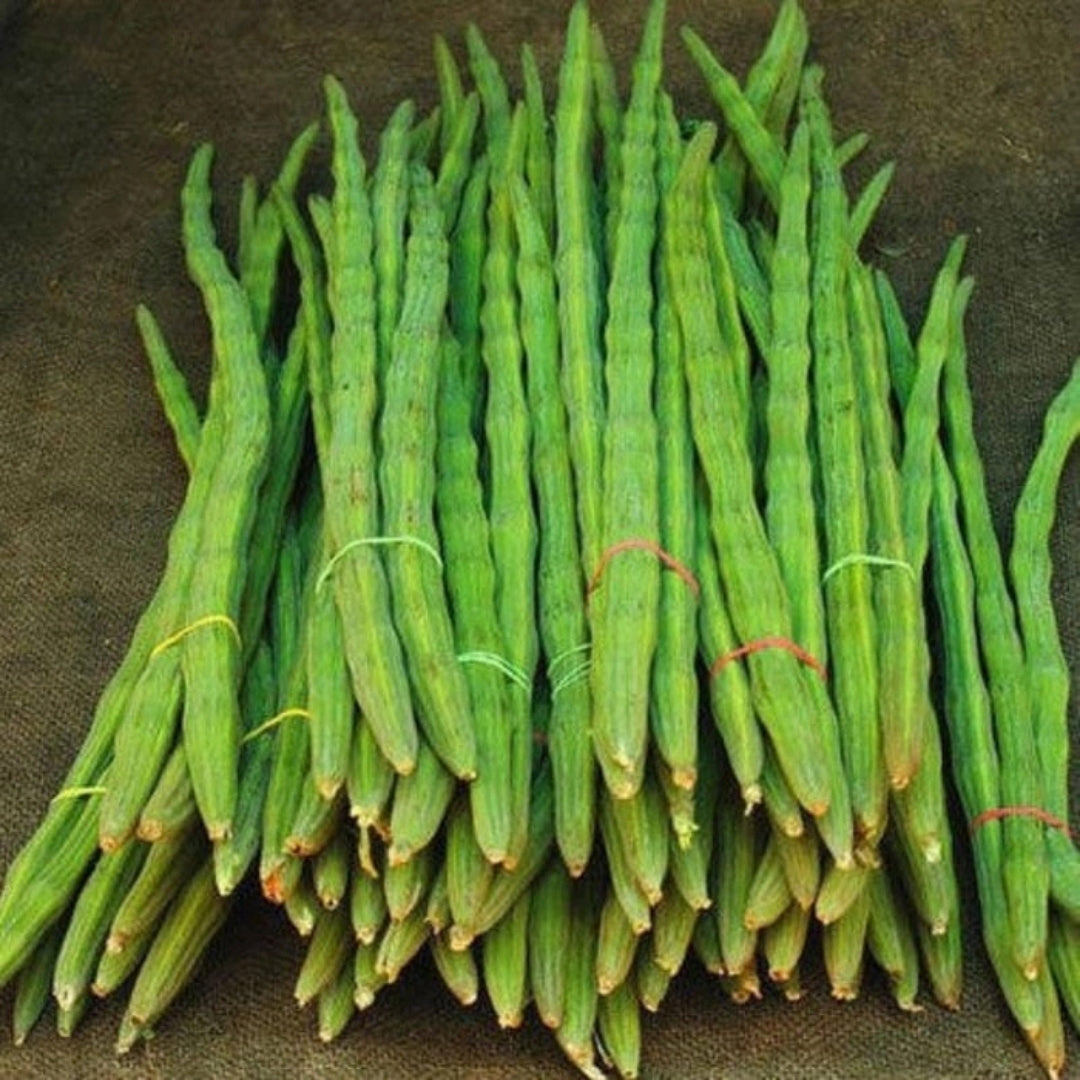 Organic Drumsticks (Shevga)