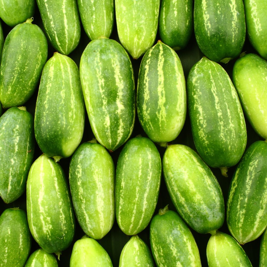 Organic Tondali (Ivy Gourd)
