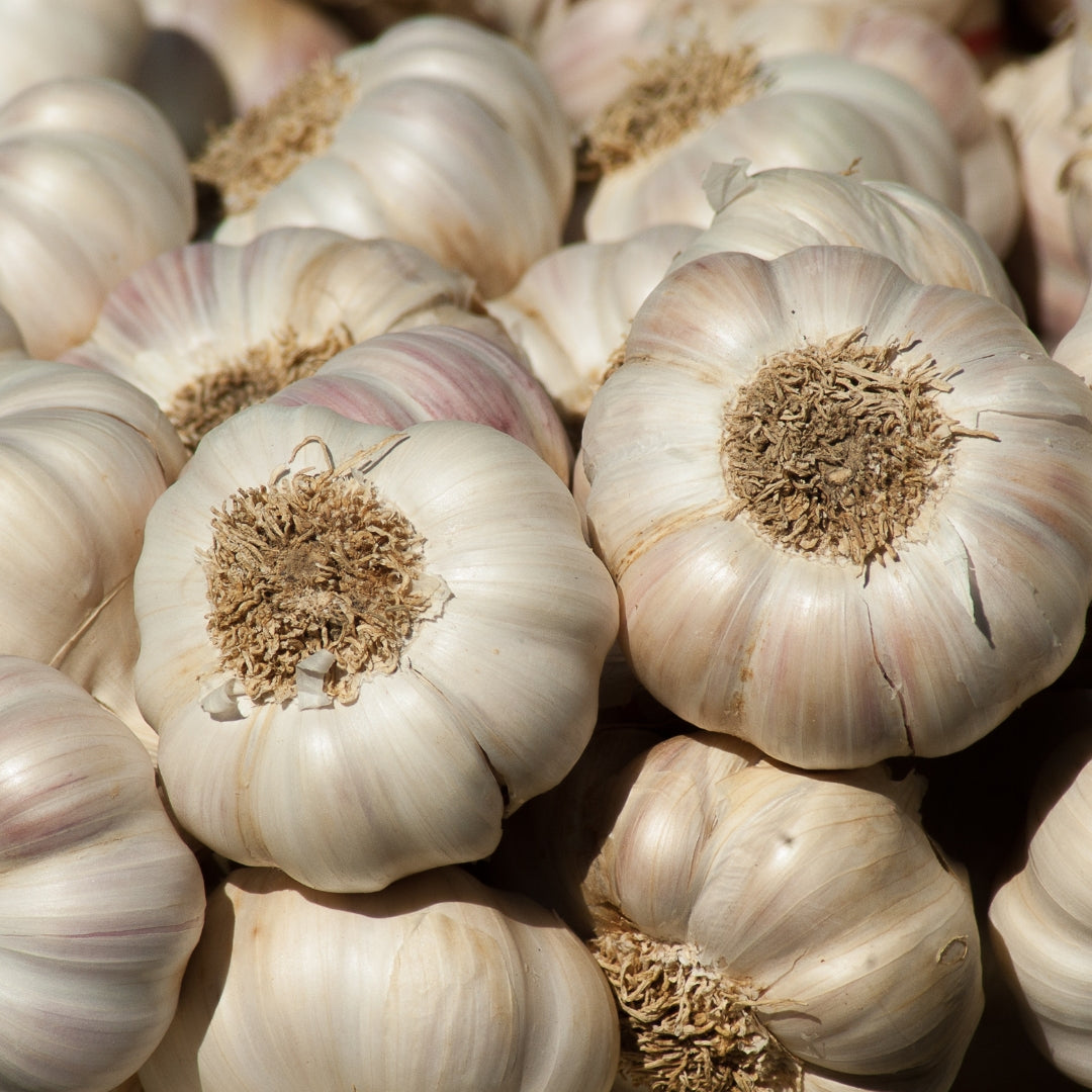 Fresh organic garlic online sourced from My Store with rich texture and aroma