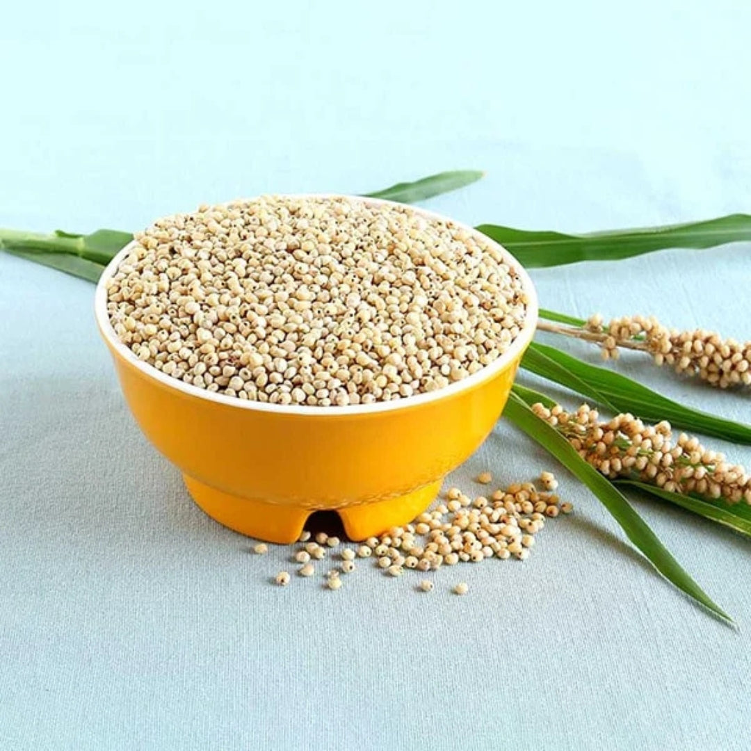 Bowl of organic jowar online with grains and jowar plants on a light background