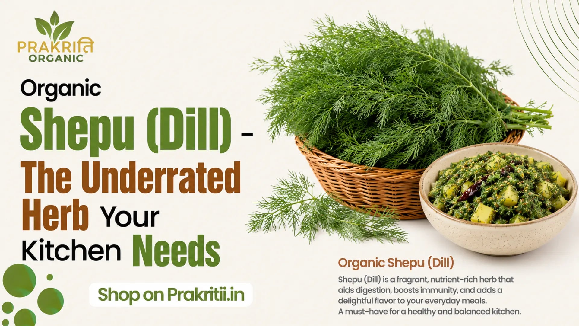 Organic Shepu (Dill) – The Underrated Herb Your Kitchen Needs