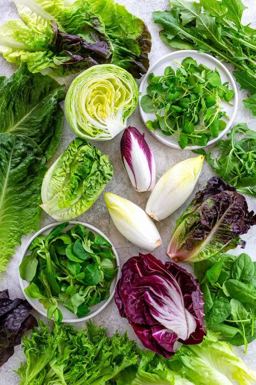 Assorted fresh organic leafy vegetables Mumbai including lettuce, spinach, and arugula on display