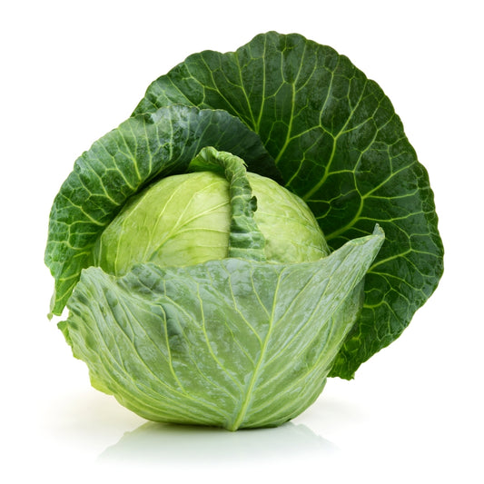 Organic Cabbage (Kobi)