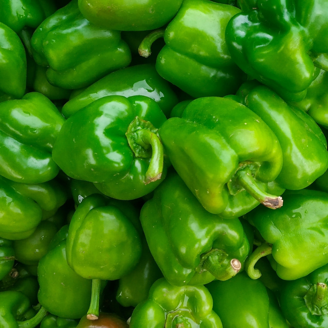 Organic Capsicum (Shimla Mirch / Bell Peppers)