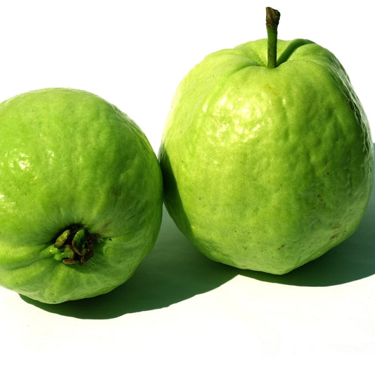 Organic Guava (Peru)