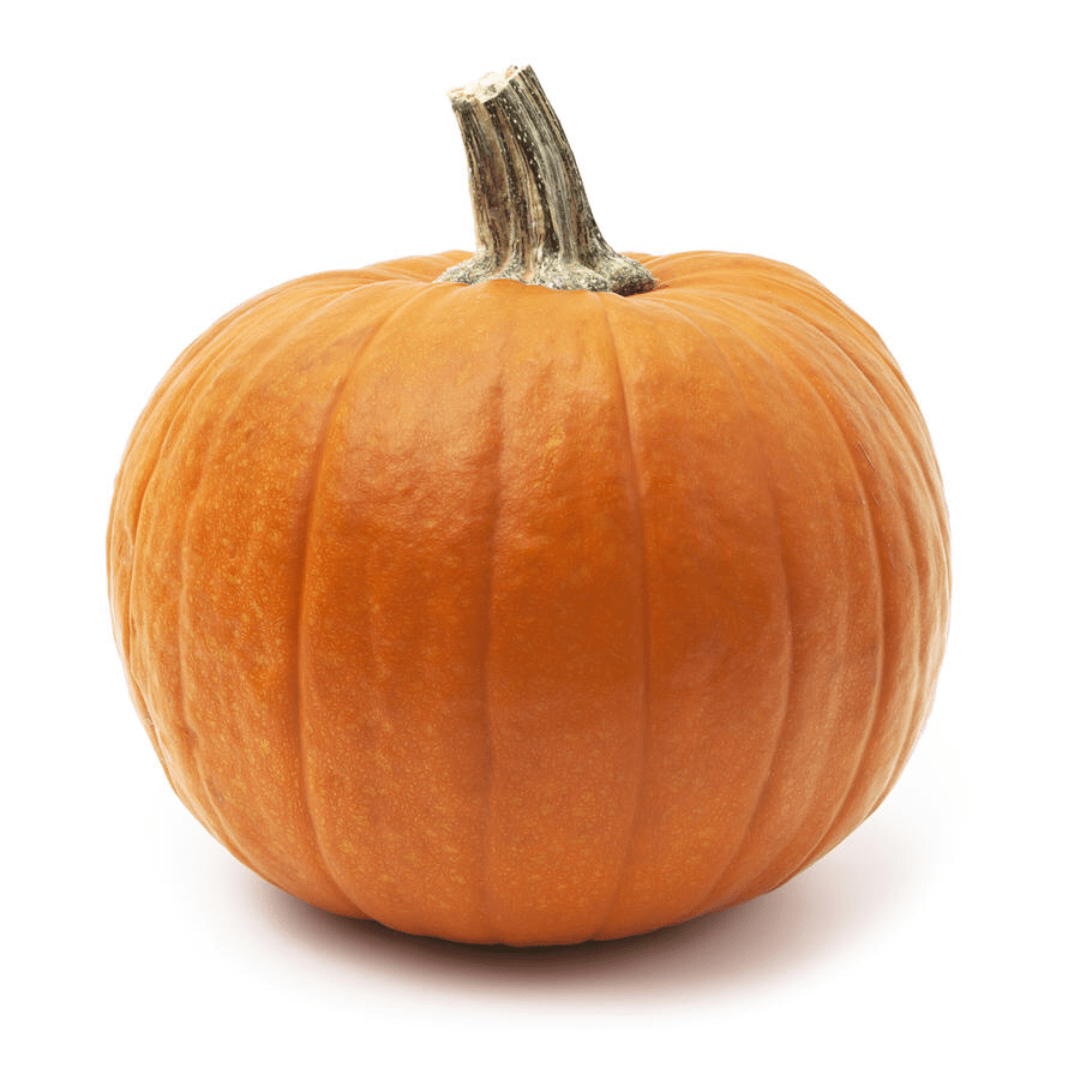 Organic red pumpkin fresh from My Store with vibrant orange color and textured skin