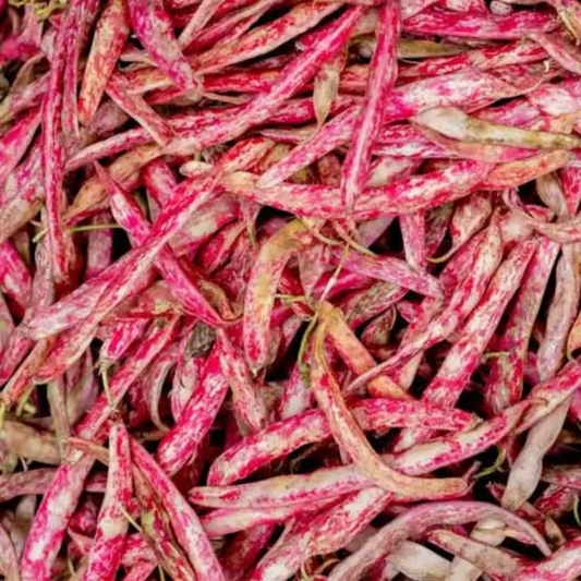Organic Fresh Kidney Beans (Rajma Ola)