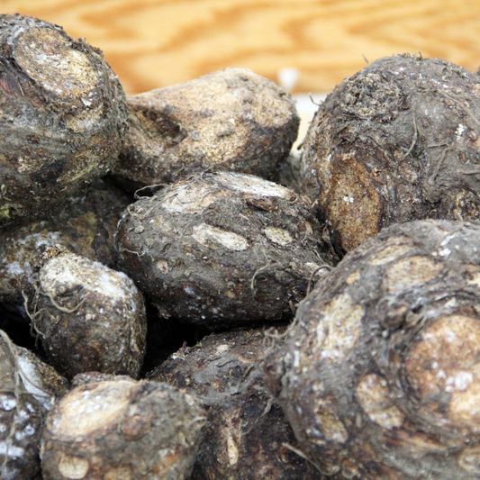 Organic Suran (Elephant Foot Yam)