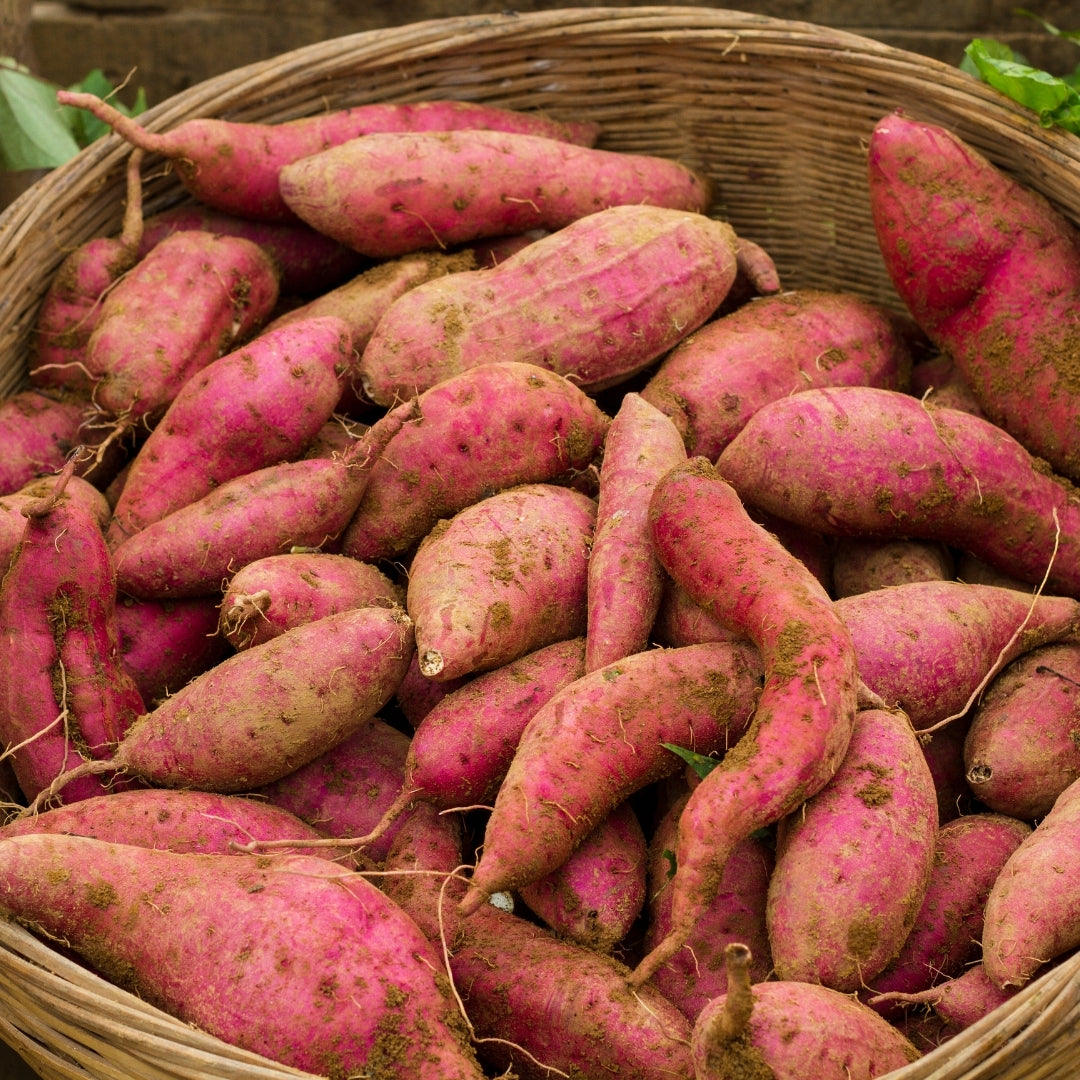 Organic Sweet Potato (Ratali)