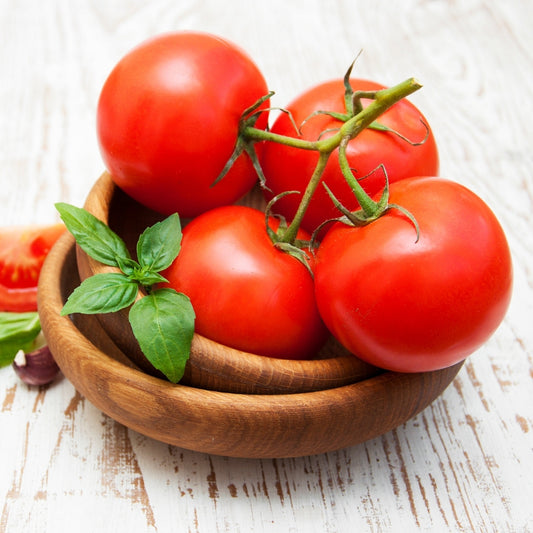 Organic Tomato