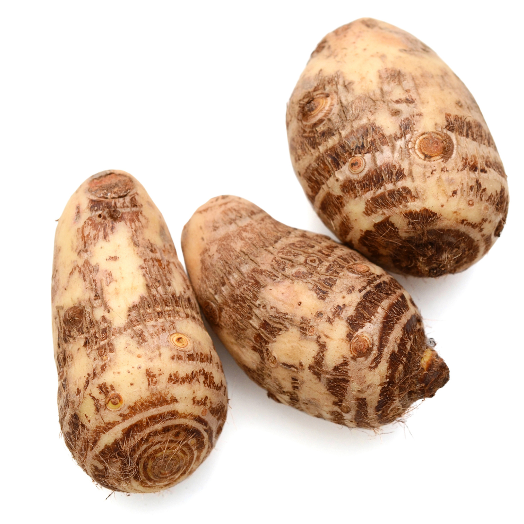 Fresh organic aarvi root with a textured brown skin, perfect for healthy recipes