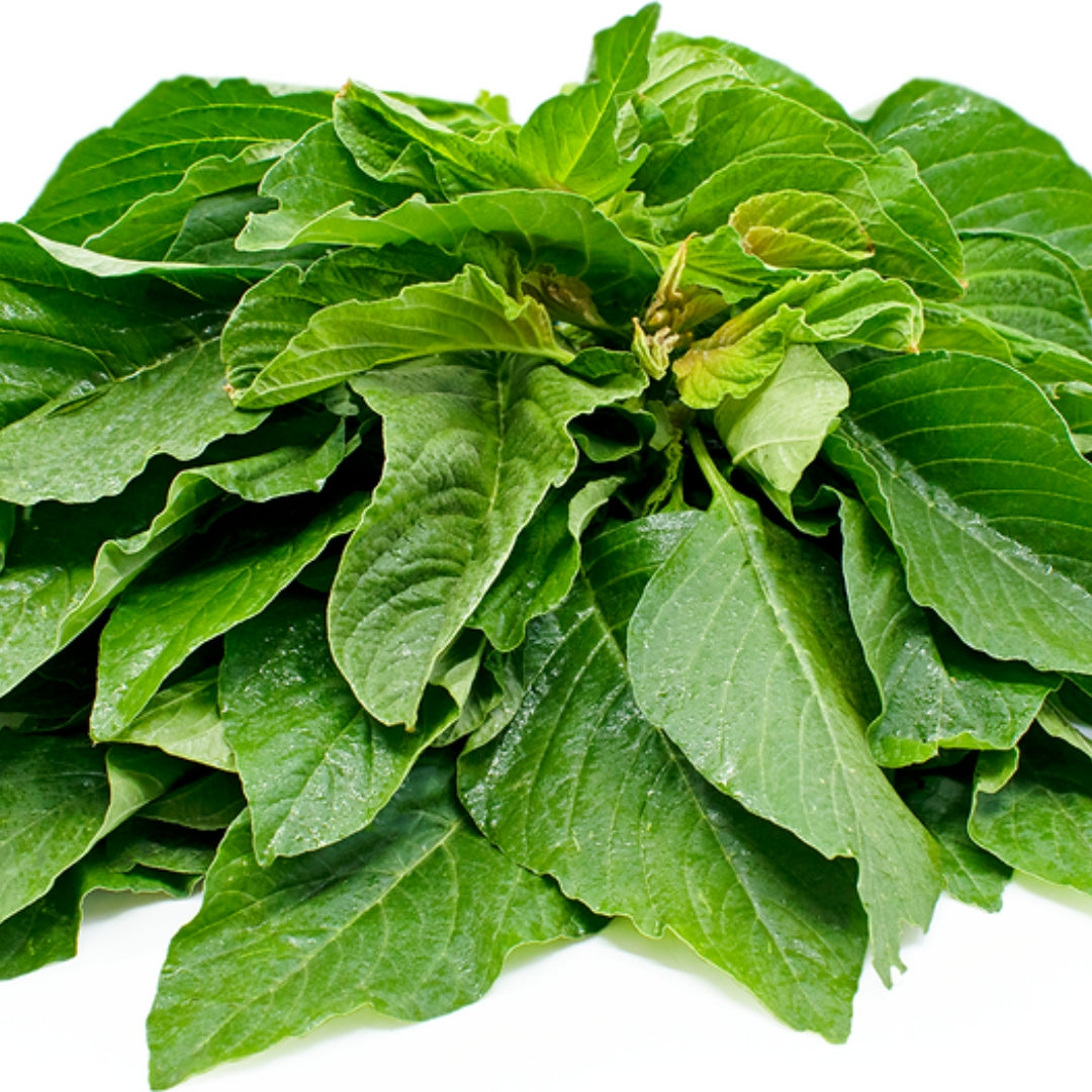 Fresh organic amaranth greens with vibrant leaves, perfect for salads and cooking