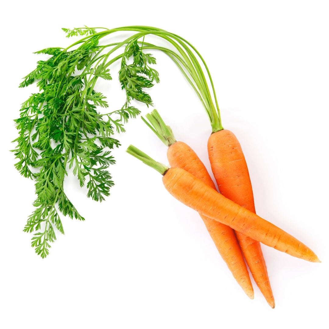 Fresh organic carrot online Mumbai with vibrant orange color and green leafy tops