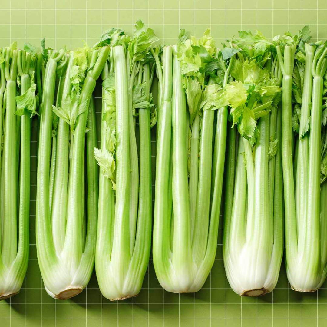 Fresh organic celery online Mumbai from Prakritii Organics stacked on a green background