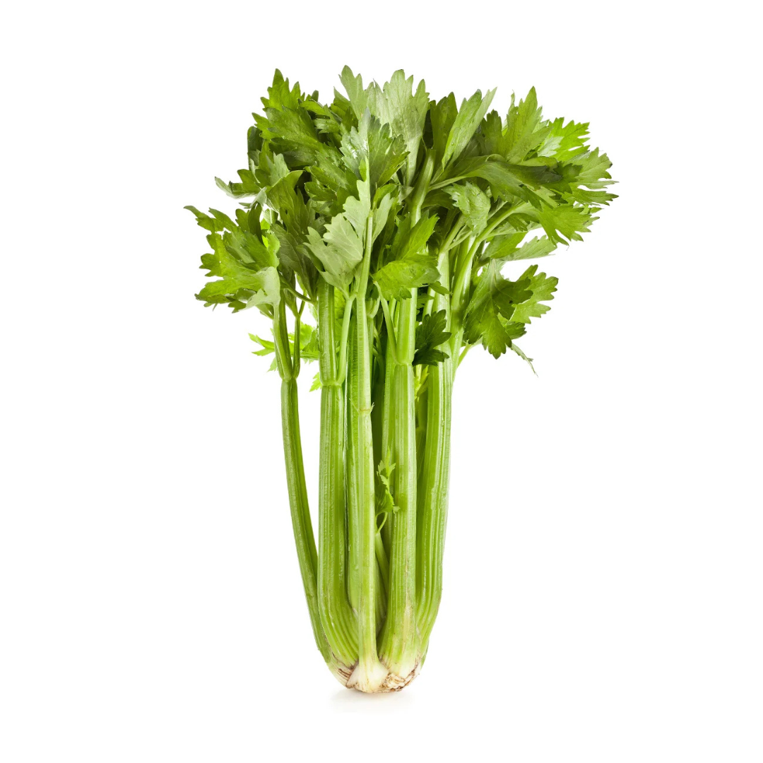 Fresh organic celery online Mumbai from Prakritii Organics with vibrant green stalks and leaves