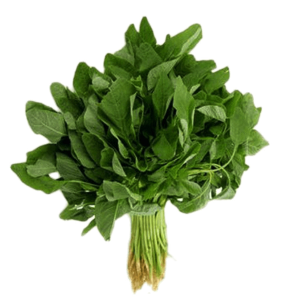 Fresh organic chavalai leaves from Pune farm