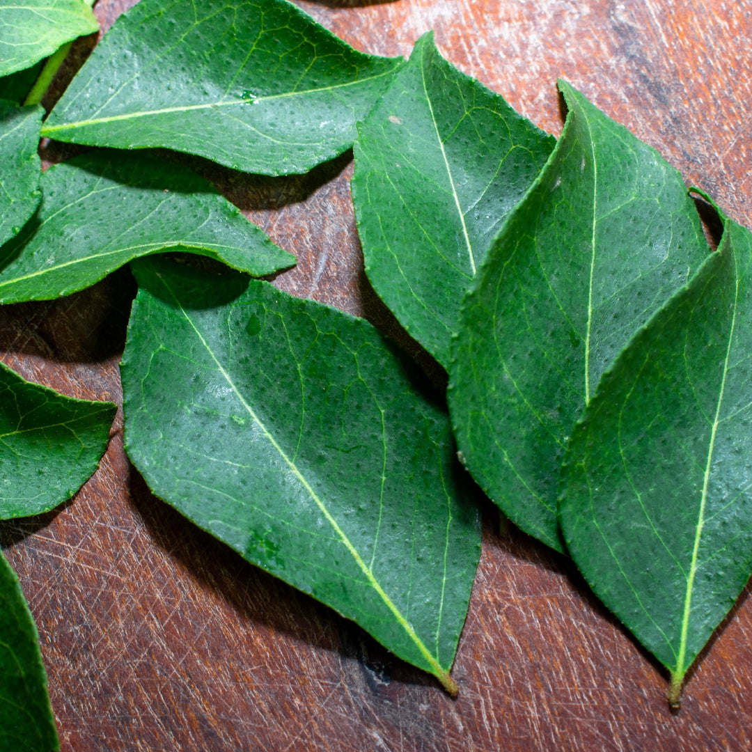 Fresh organic curry leaves arranged on a wooden surface for cooking and garnishing