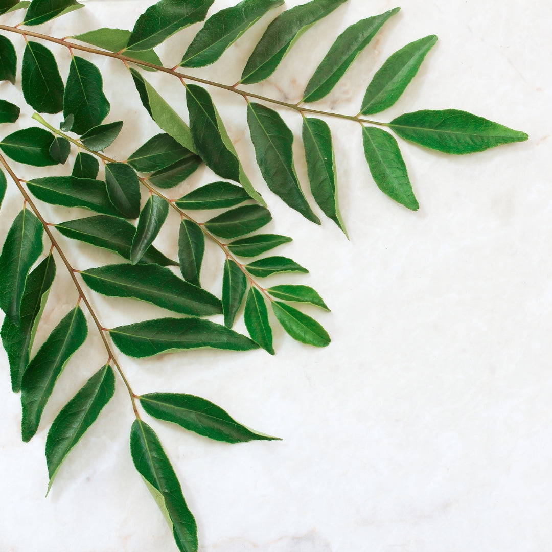 Fresh organic curry leaves arranged beautifully, perfect for enhancing flavors in dishes