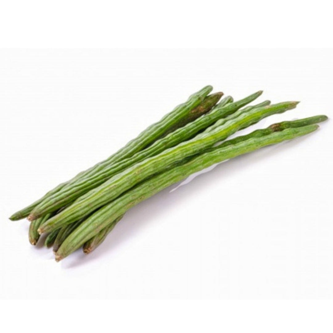 Organic drumstick vegetable – harvested fresh 