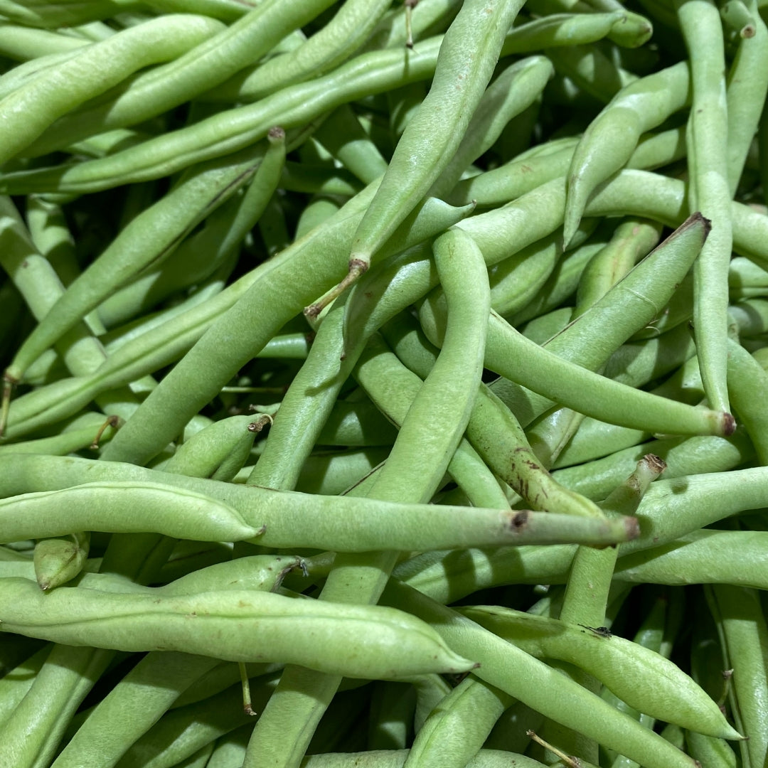 Fresh organic french beans piled together, vibrant green and ready for cooking or salads