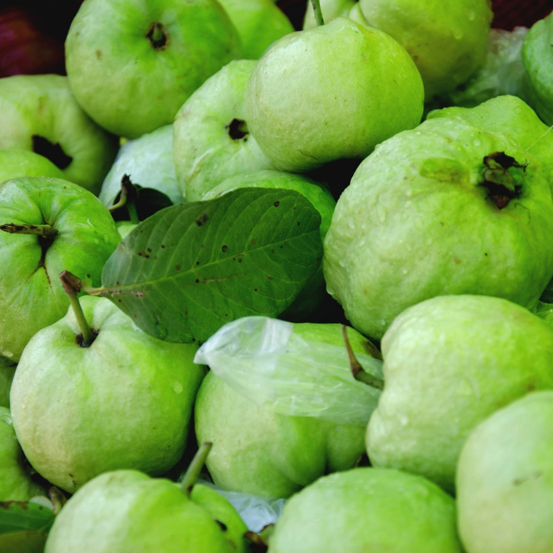 Fresh organic guava online Mumbai arranged in a vibrant display with green leaves