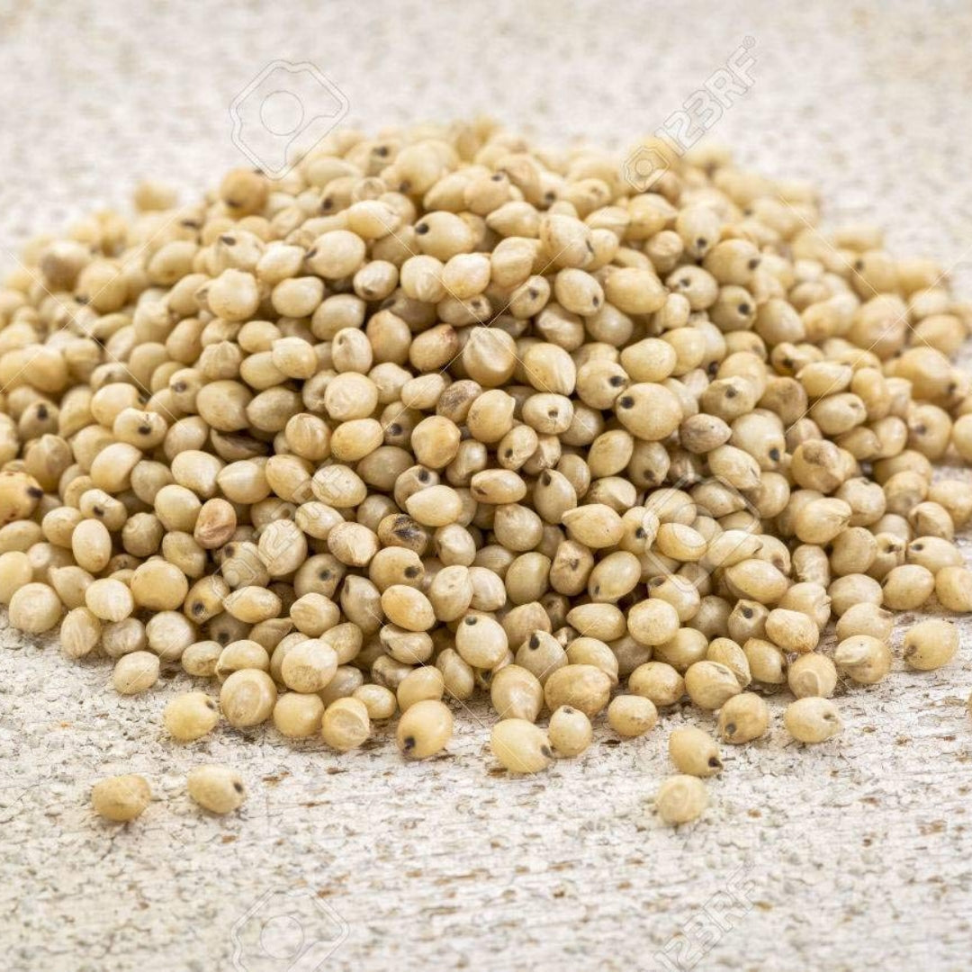Organic jowar online - a pile of light-colored jowar grains on a neutral background