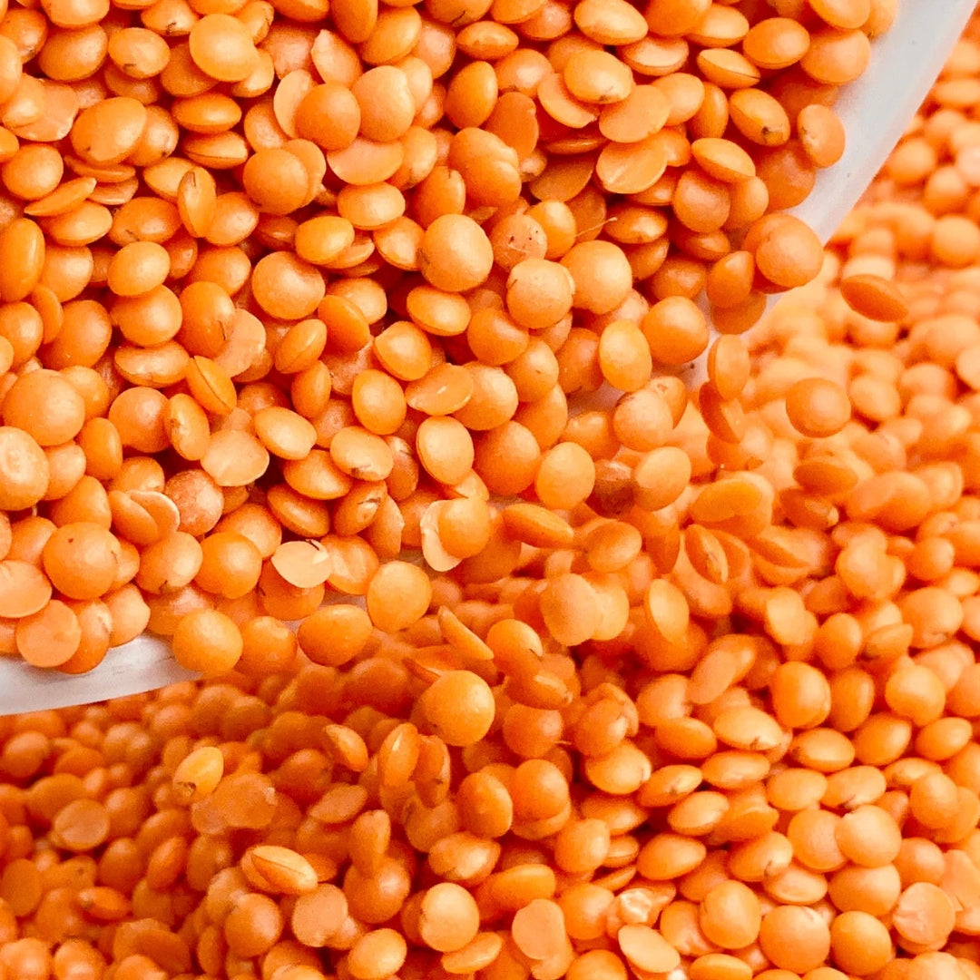 Organic masoor dal in a bowl, showcasing its vibrant orange color and small, round shape
