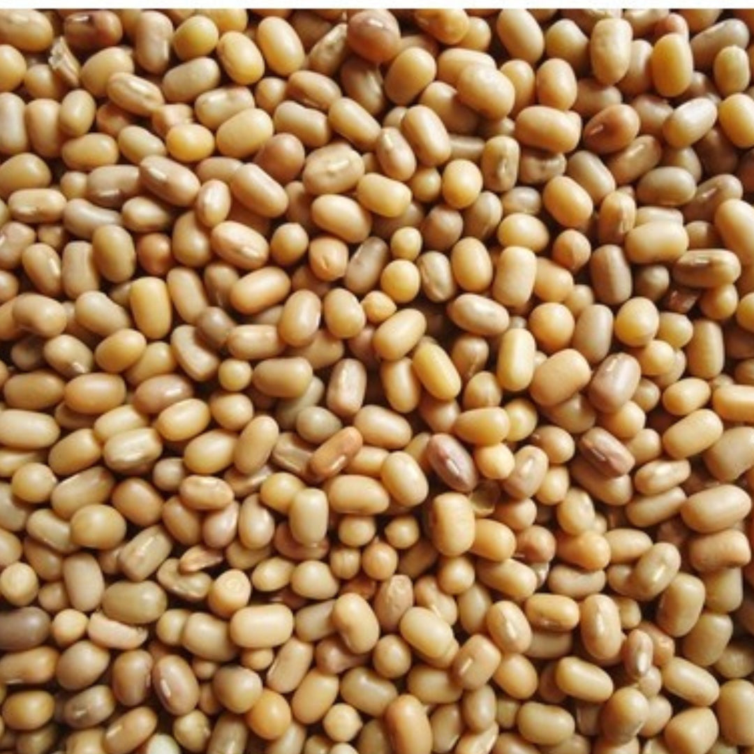 Bulk organic mataki beans, whole and raw, perfect for healthy cooking and meal prep