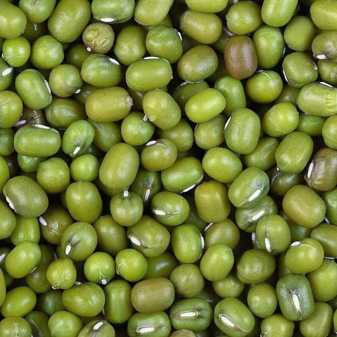 Organic moong whole green lentils in bulk, rich in protein and ideal for healthy recipes
