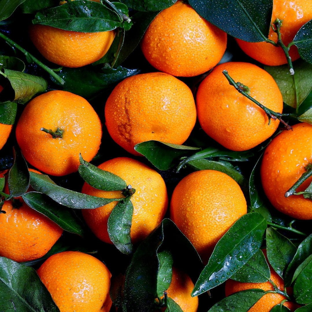 Fresh organic oranges Mumbai with vibrant color and green leaves for healthy snacking