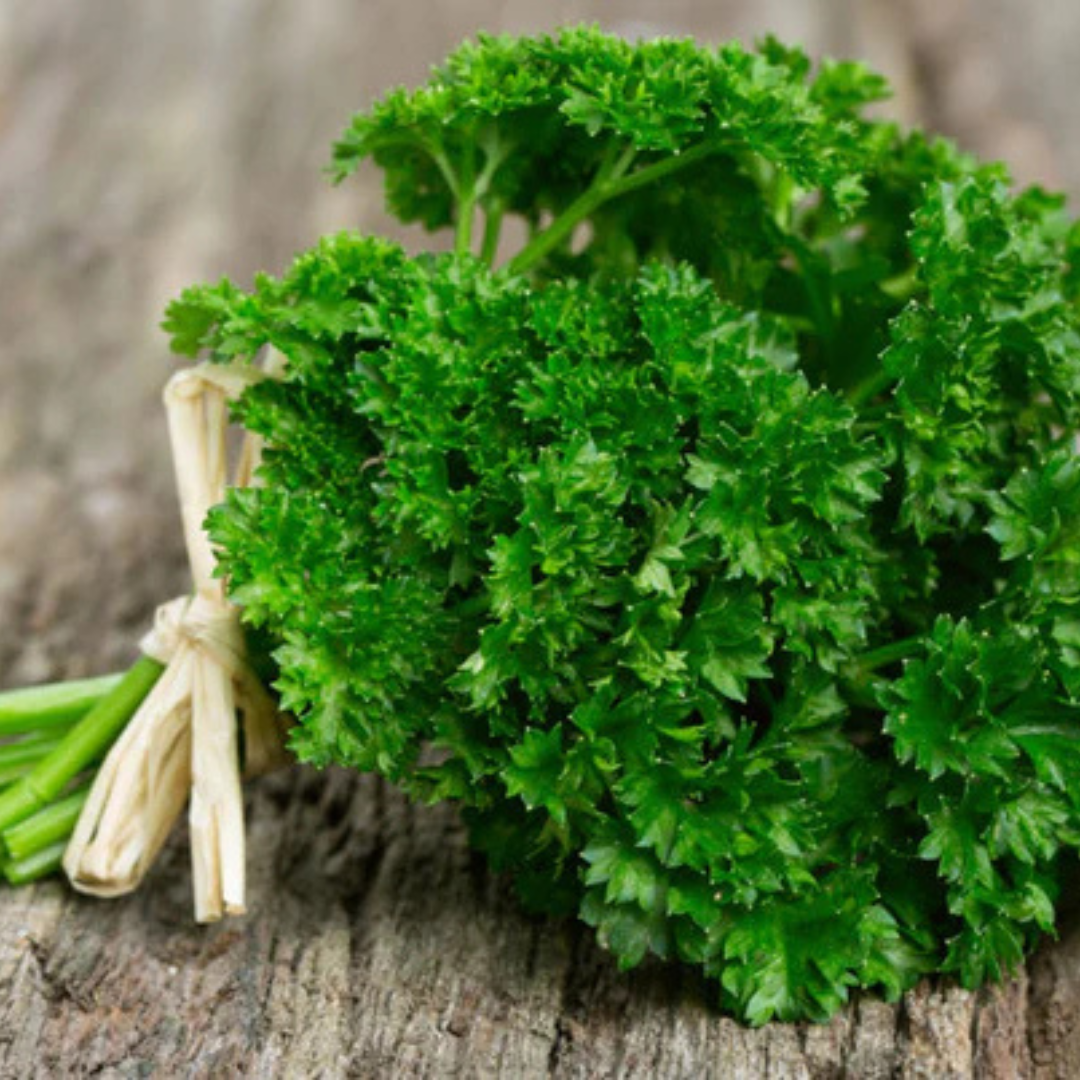 Fresh organic parsley bundle from Prakritii Organics with vibrant green leaves