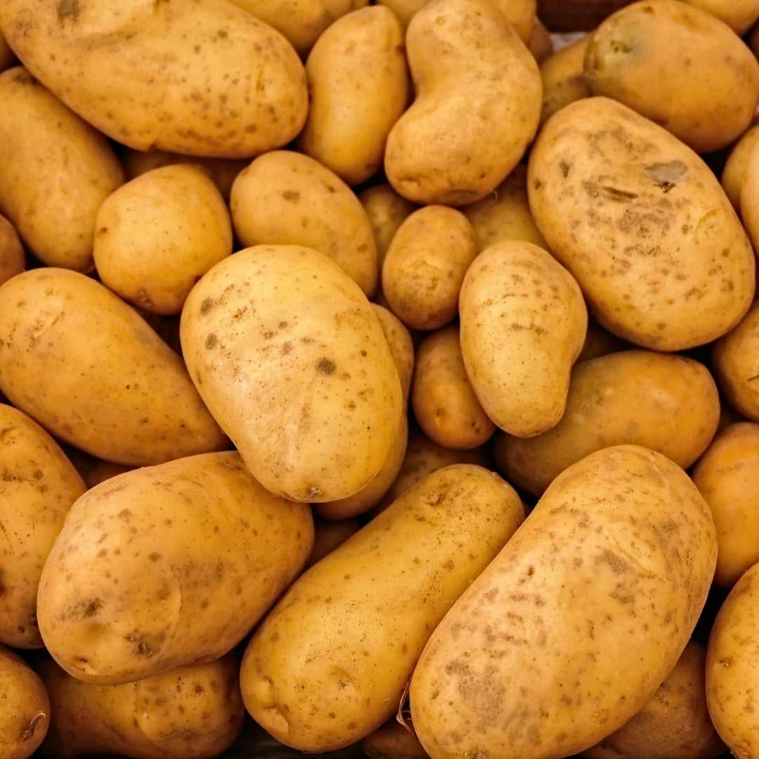 Fresh organic potato (batata) from Pune farms in navi mumbai