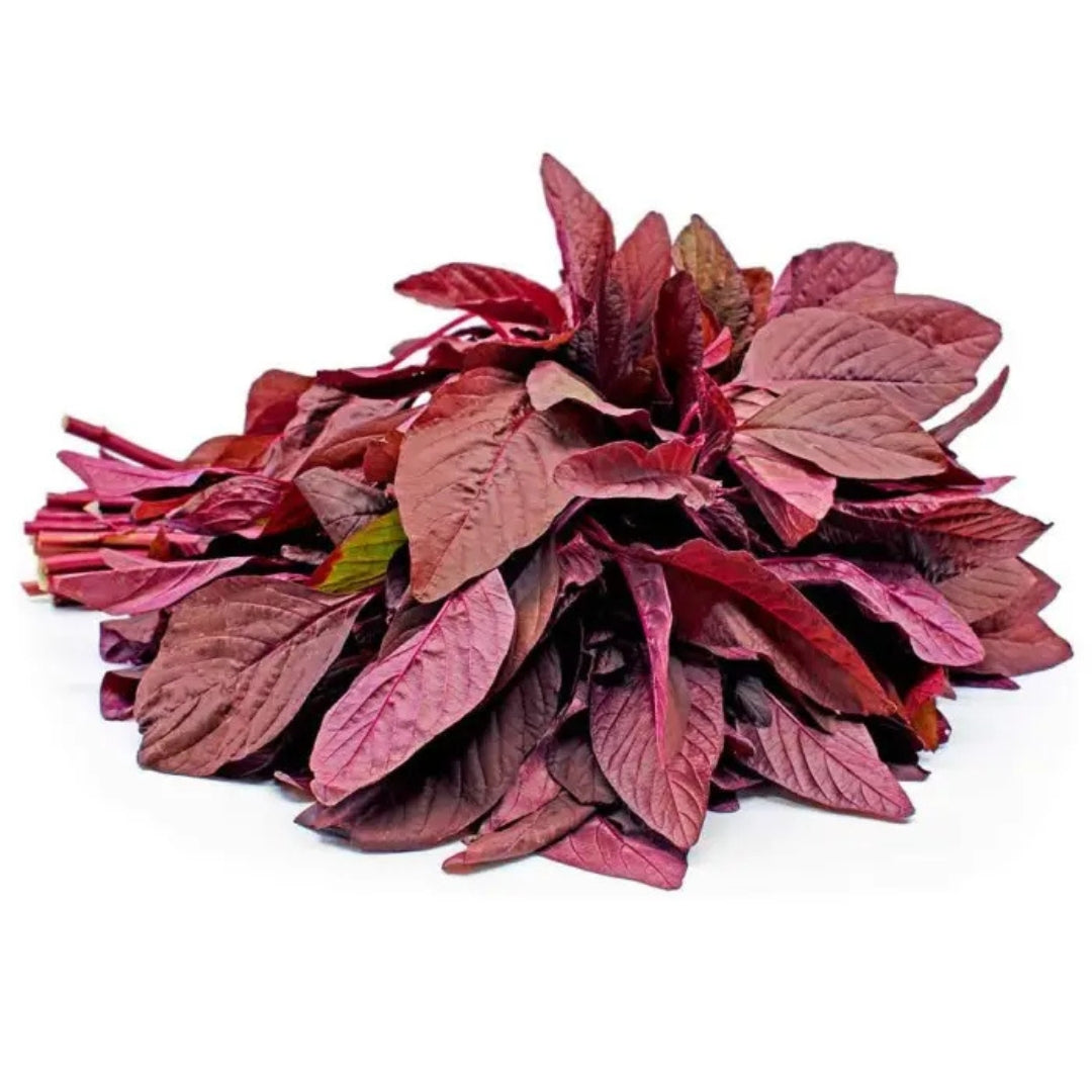 Fresh organic red amaranthus leaves piled together for salads and cooking