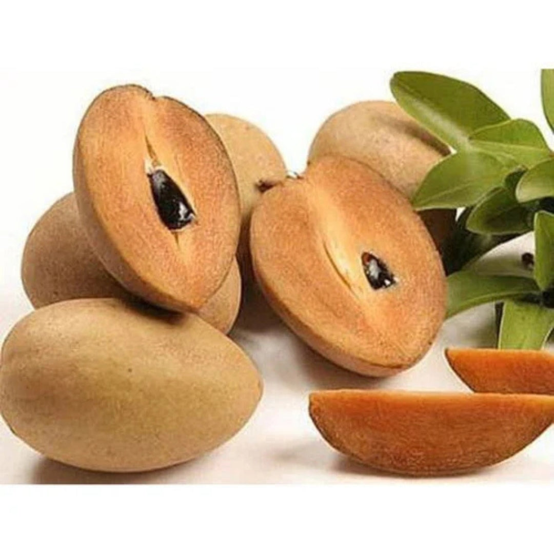 Fresh organic sapota online with smooth brown skin and sweet, juicy flesh for healthy snacking