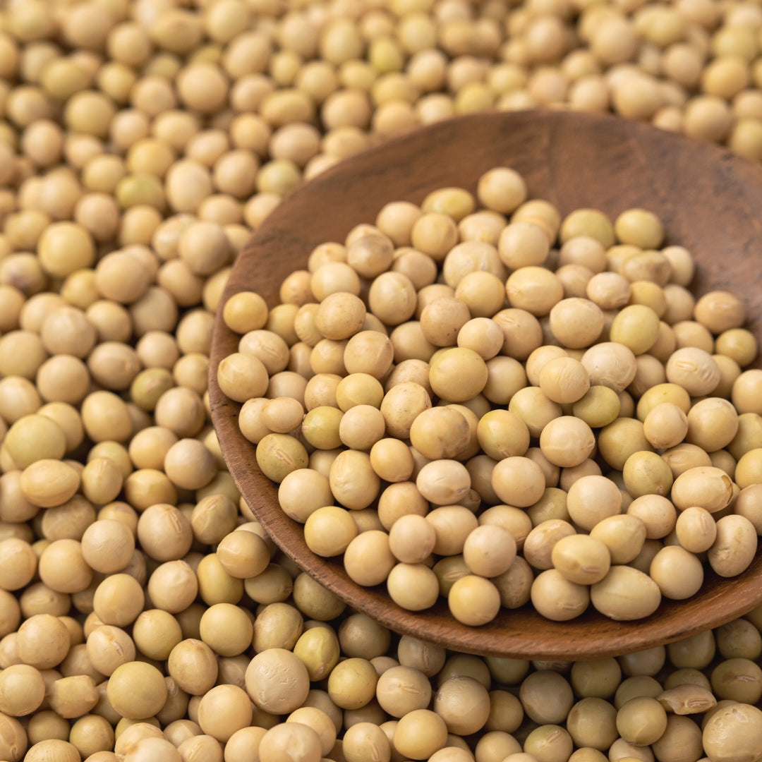Organic soybean seeds in a wooden bowl surrounded by more seeds for healthy gardening