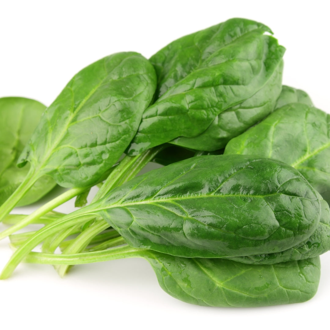 Fresh organic spinach online Mumbai, showcasing vibrant green leaves with a crisp texture