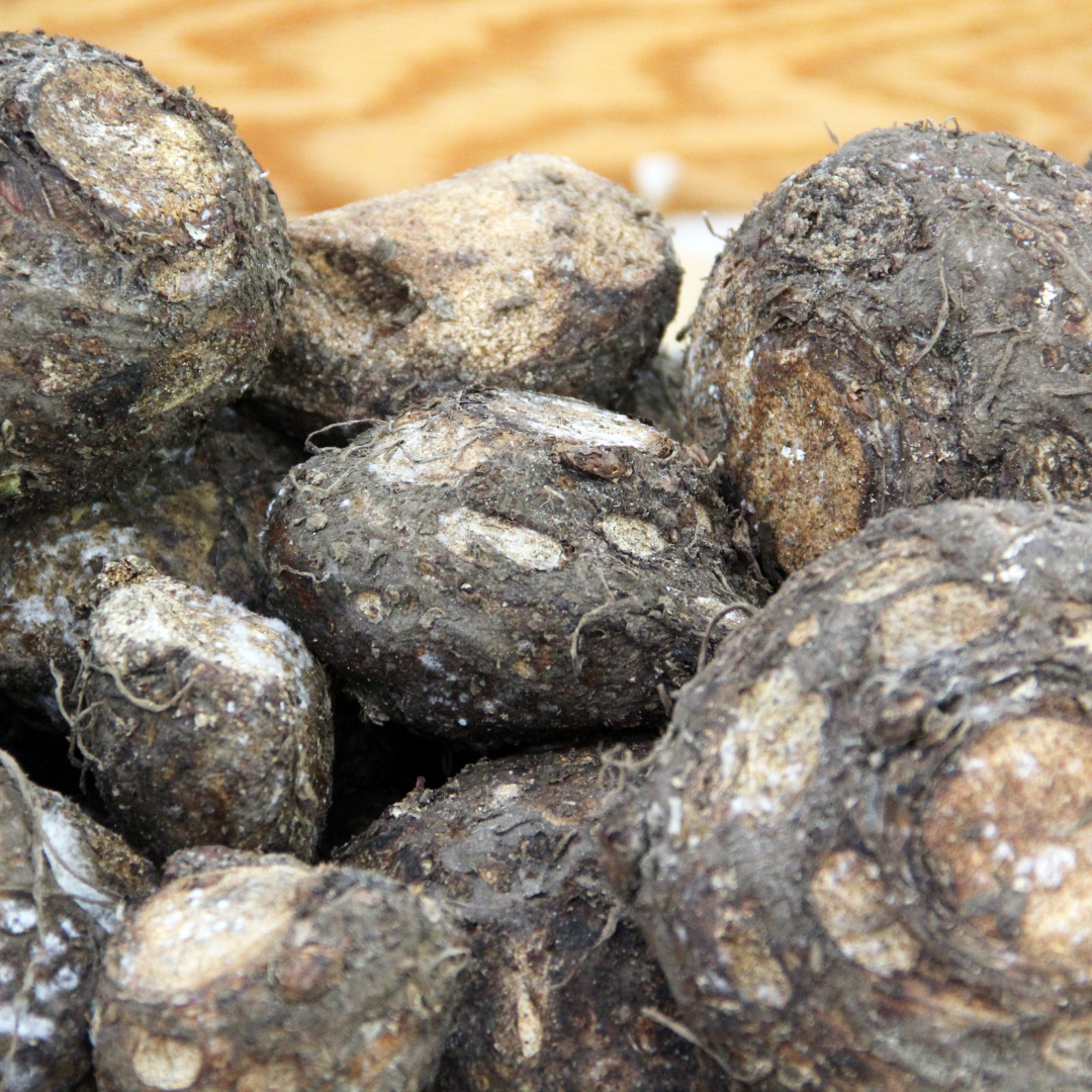 Fresh organic suran online with earthy skin and unique texture, perfect for healthy recipes