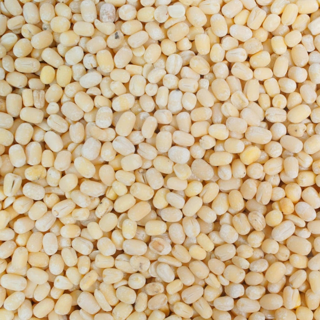 Organic urad dal white in bulk, perfect for healthy cooking and meal preparations