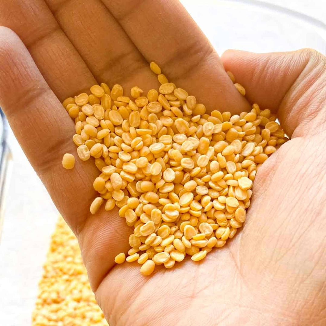 Organic yellow moong dal in a hand, showcasing its vibrant color and texture for healthy cooking