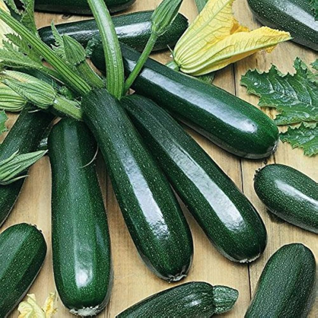 Fresh organic zucchini online Mumbai from Prakritii Organics, vibrant green and ready for cooking